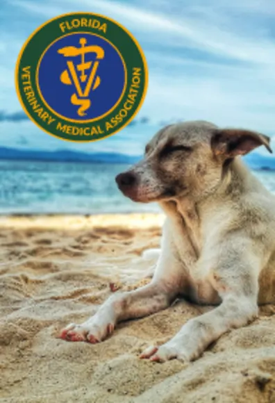FVMA - Florida Veterinary Medical Association